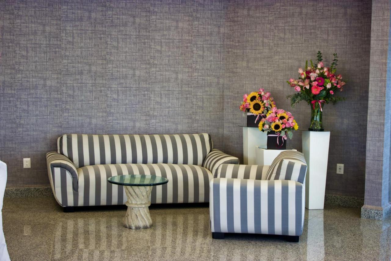 ホテル サン ファン パーク San Juan del Río エクステリア 写真 A sofa and armchair